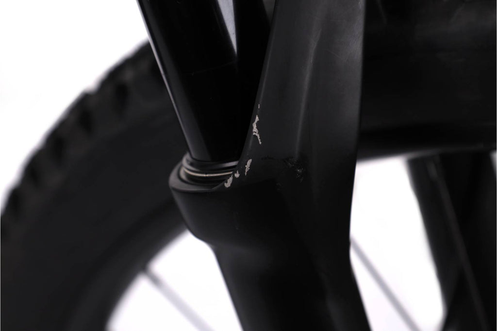 Cannondale Moterra Neo 3