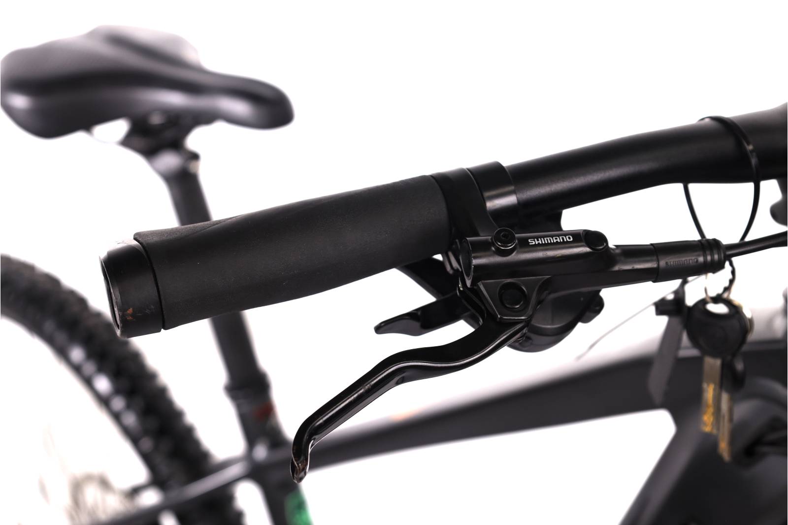 Focus Jarifa² 6.6 Seven