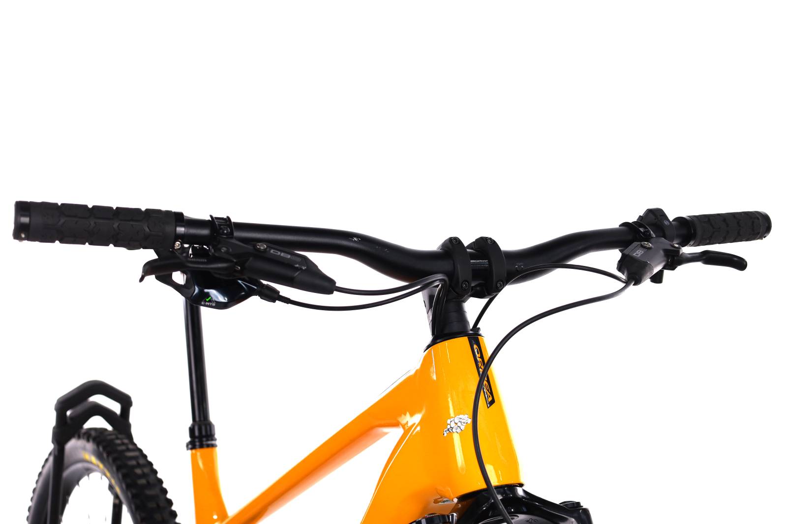 Orbea Wild H20