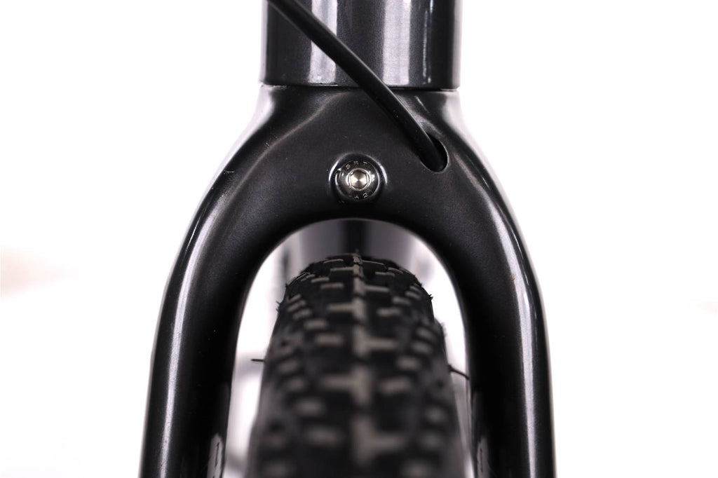 Cannondale Topstone Neo SL 2