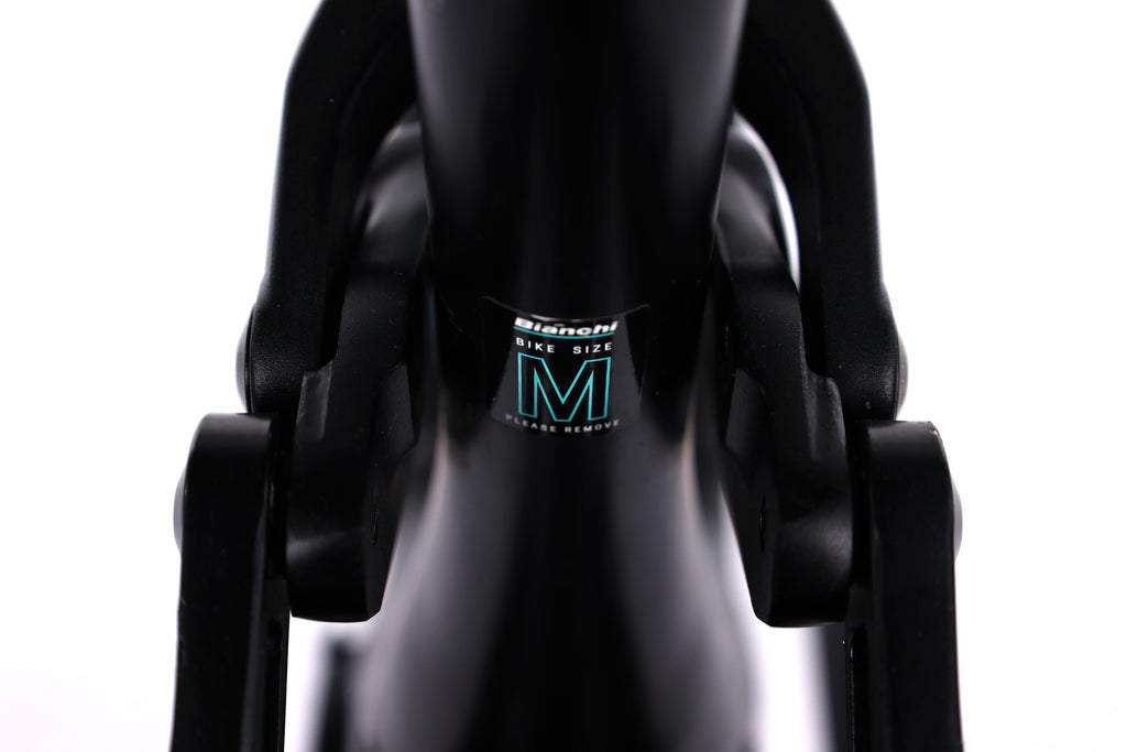 Bianchi E-Vertic FX TYPE