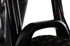 Cannondale Moterra Neo 4