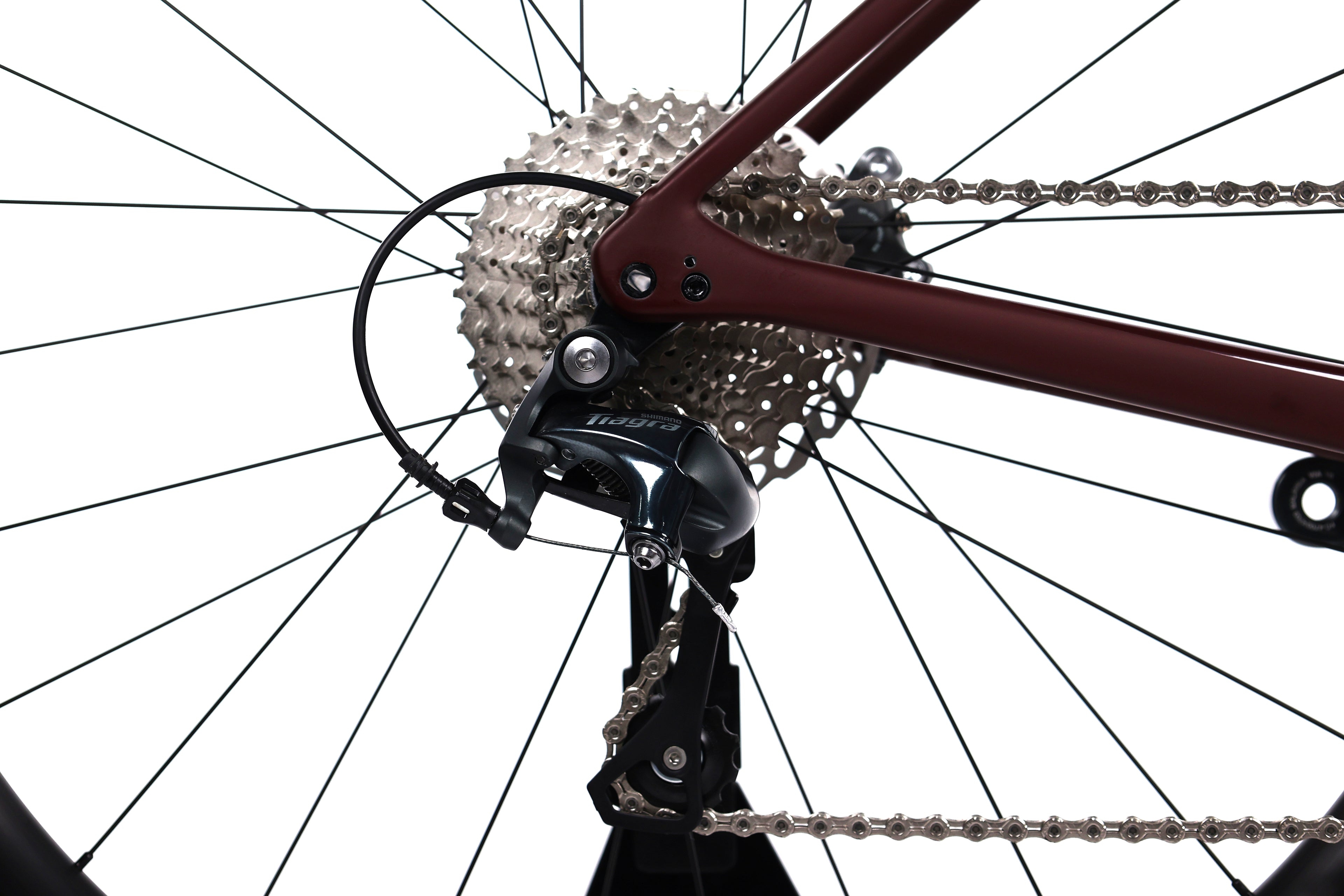 Specialized Roubaix SL8