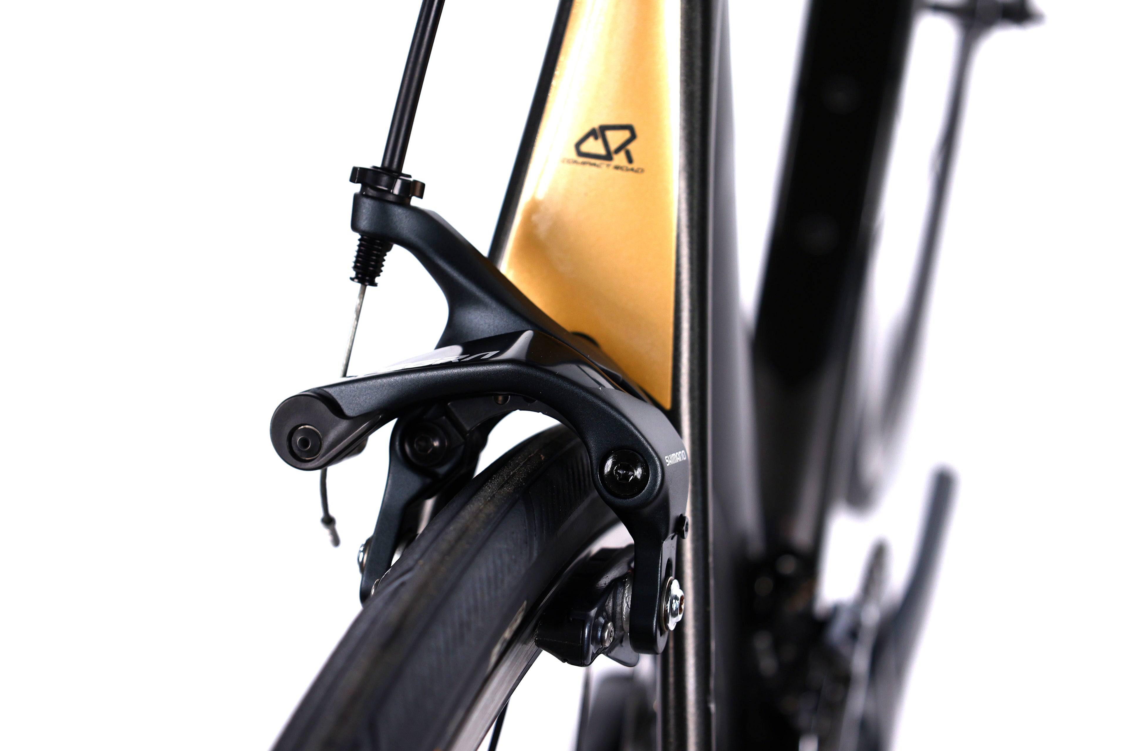 Giant TCR Advanced 1