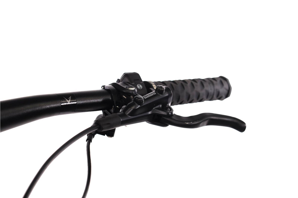 Bianchi E-Vertic FX Type